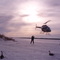 Moose Factory: Getting buzzed by brother