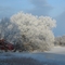 Almonte Frost