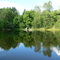 reflection in Almont