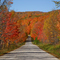 Fall Motorcycle ride