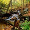 Fall, Pretty River Valley Provincial Park, Ontario