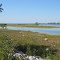 COLLINGWOOD - shore of Georgian Bay