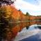 Fall Foliage at Pachaug State Park