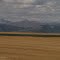 Contrasting Towering Mountains And Flat Golden Prairie Near Pincher Creek AB Sep '12