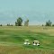 Contrasting Green Greens, Golden Trees And Blue Mountains Near Pincher Creek AB Sep '12