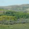 Colourful Green And Golden Foothills Near Pincher Creek AB Sep '12