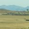 Contrasting Mountains And Golden Prairie Near Pincher Creek AB Sep '12