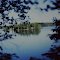 Trout Lake Peace