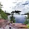 Three Legged Lake Rope Swing and Picnic Spot Aug 2013