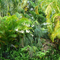 Palm Glade