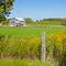 Pretty Farm in Wellington County, Ontario