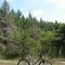 Westfield Trail