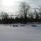 Backyard - Winter