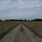 Back field