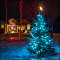 Tree Lights