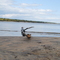 Killbear