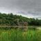 Quiet Pond