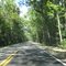 Twelve Mile Swamp
