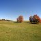 Fall
