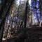 Mono cliffs provincial park