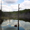 Lake in Mono Cliffs Provincial Park, Ontario, Canada