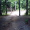 trail in Mono Cliffs Provincial Park