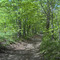 beginning of trail
