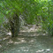 on the trail