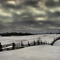 Dreary Days of Winter
