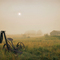 Fog in the Farmland