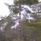 Porcupine Hill