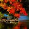 Gull River Reflection
