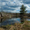 Queen Elizabeth Wild Lands Prov. Park
