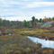 Queen Elizabeth wild Lands 1