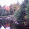 Autumn in the Algonquin Park, Canada