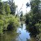 Creek