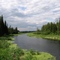 Porcupine River looking north
