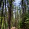 Hershey Lake Walking Trail