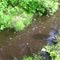 Creek in Schumacher
