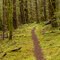 trail on the old railroad grade