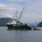 Purse Seiner