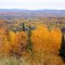 Autumn colors in the Boreal Forest near Marathon (Lake Superior Ontario) Couleurs Automnale de la forêt Boréale pres de Marathon (Lac Supérieur) Ontario !!