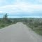 forest fire damage near Beardmore