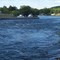 Hastings - Lock 18, Trent Canal