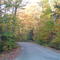 Fieldale Road