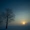Misty Morning