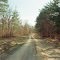 13-02-16: road