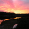 Blackstone Lake Massassauga