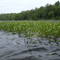 End of the portage