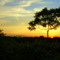 Chrysler Greenway Trail
